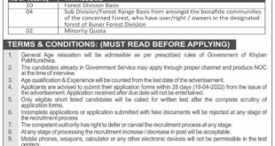Government Job Vacancies of Forest Guard/Junior Clerks In Buner Forest Division